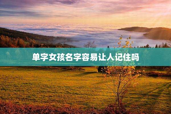 单字女孩名字容易让人记住吗
