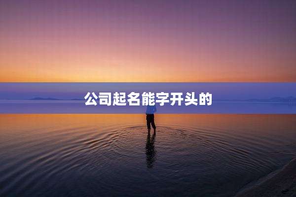 公司起名能字开头的