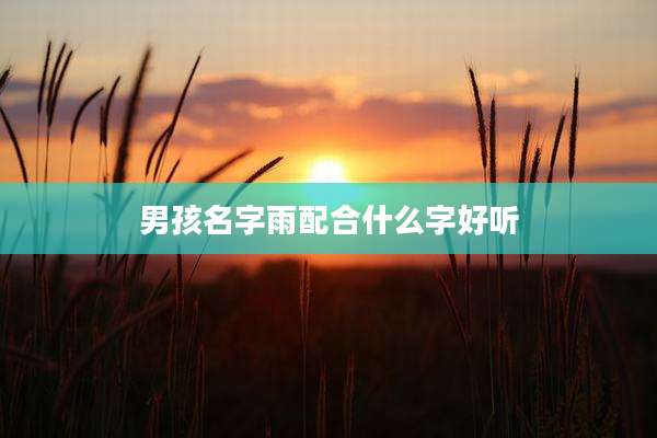 男孩名字雨配合什么字好听