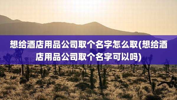 想给酒店用品公司取个名字怎么取(想给酒店用品公司取个名字可以吗)