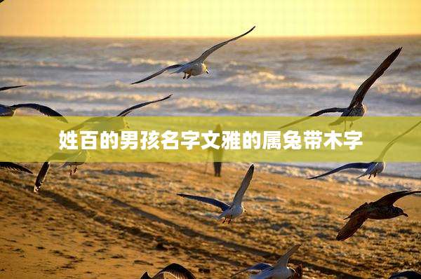姓百的男孩名字文雅的属兔带木字