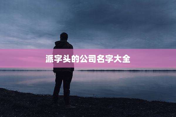 派字头的公司名字大全