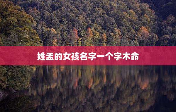 姓孟的女孩名字一个字木命