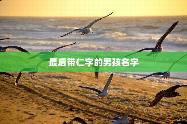 最后带仁字的男孩名字