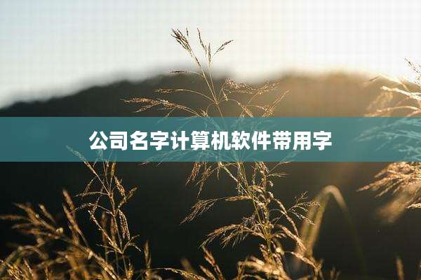 公司名字计算机软件带用字