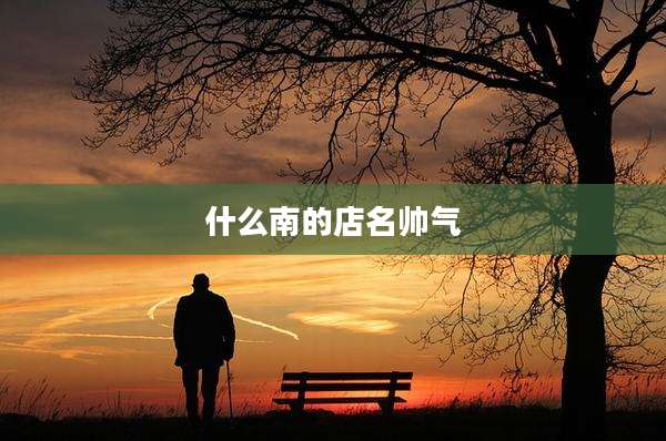 什么南的店名帅气