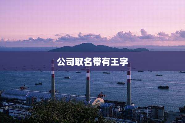 公司取名带有王字