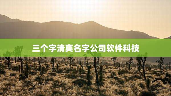 三个字清爽名字公司软件科技