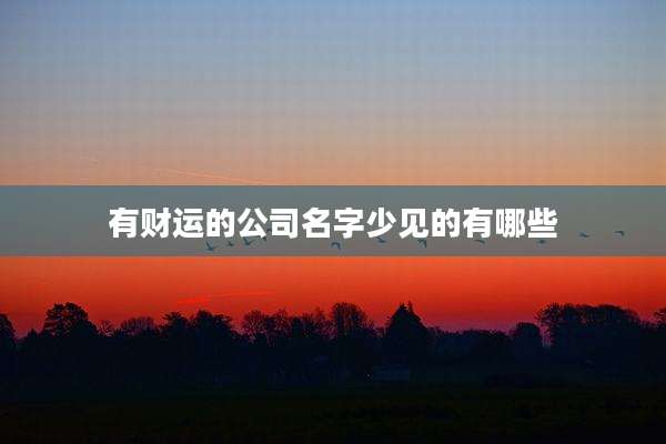 有财运的公司名字少见的有哪些