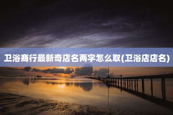 卫浴商行最新奇店名两字怎么取(卫浴店店名)