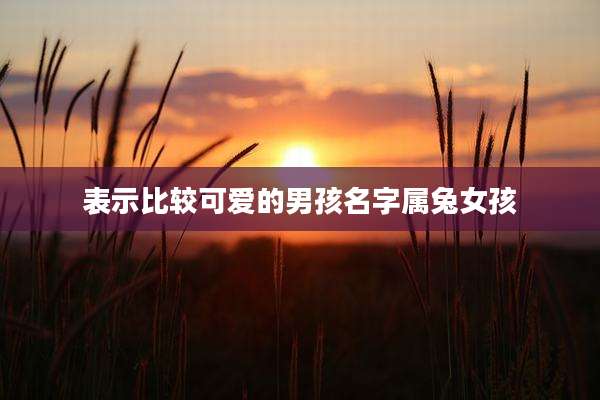 表示比较可爱的男孩名字属兔女孩