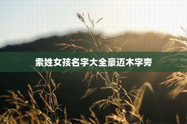 索姓女孩名字大全豪迈木字旁