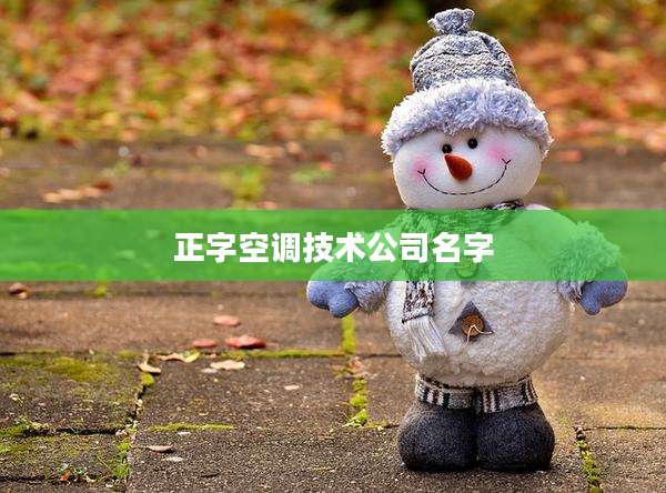 正字空调技术公司名字