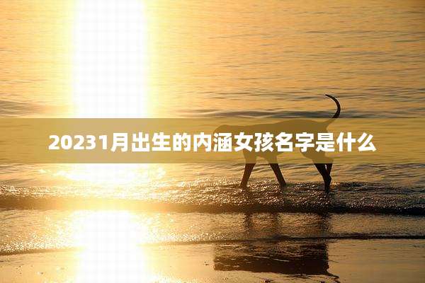 20231月出生的内涵女孩名字是什么
