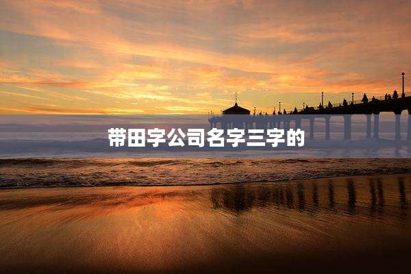 带田字公司名字三字的