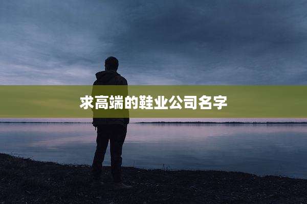求高端的鞋业公司名字