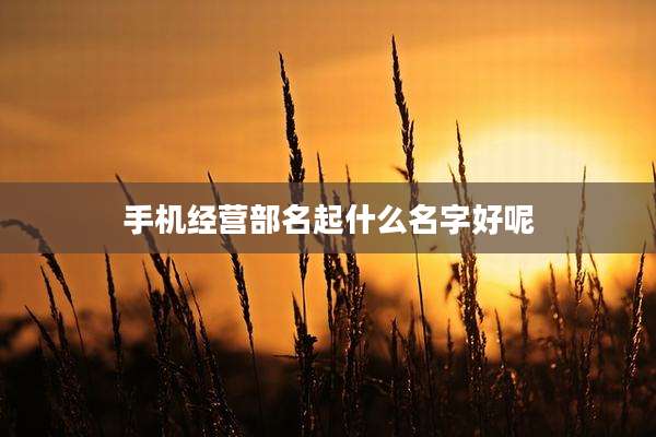 手机经营部名起什么名字好呢