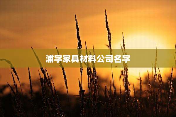 浦字家具材料公司名字