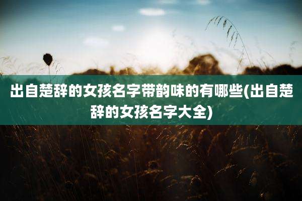 出自楚辞的女孩名字带韵味的有哪些(出自楚辞的女孩名字大全)