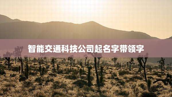 智能交通科技公司起名字带领字