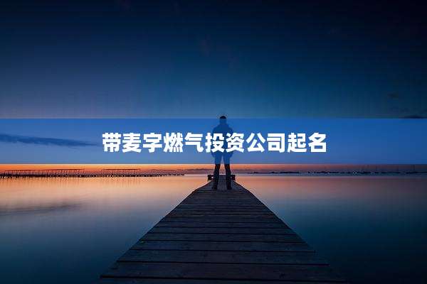 带麦字燃气投资公司起名