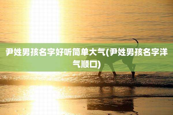 尹姓男孩名字好听简单大气(尹姓男孩名字洋气顺口)