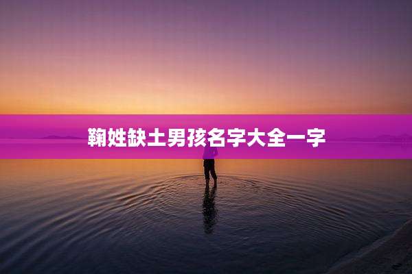 鞠姓缺土男孩名字大全一字