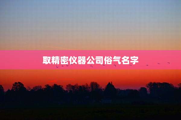 取精密仪器公司俗气名字