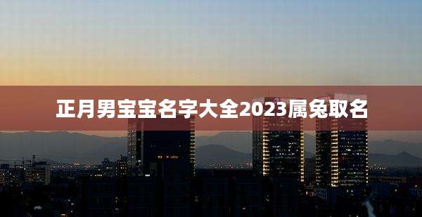 正月男宝宝名字大全2023属兔取名