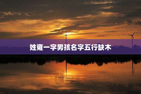 姓雍一字男孩名字五行缺木