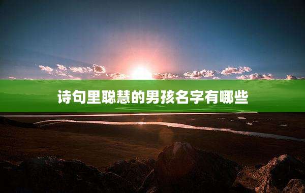 诗句里聪慧的男孩名字有哪些
