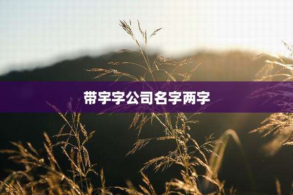 带宇字公司名字两字