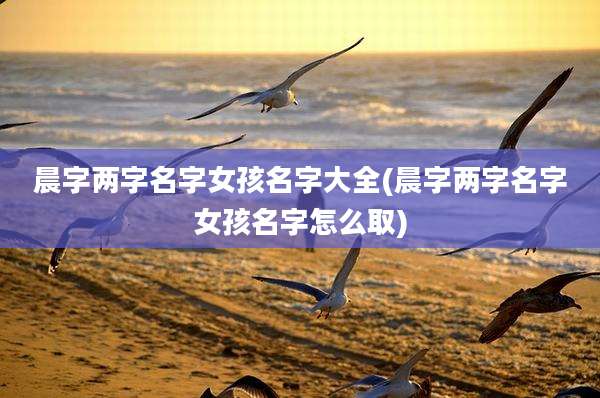 晨字两字名字女孩名字大全(晨字两字名字女孩名字怎么取)