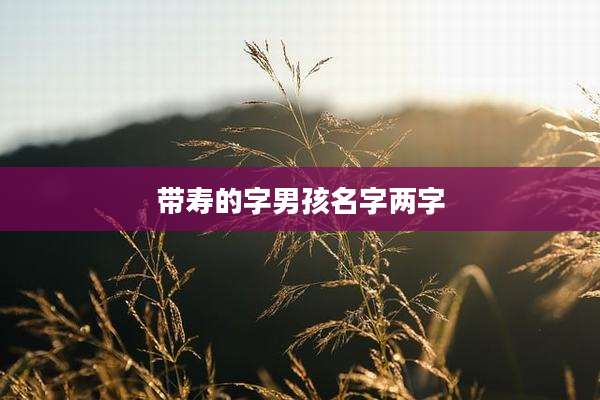 带寿的字男孩名字两字