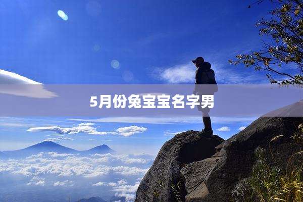 5月份兔宝宝名字男