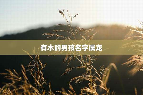 有水的男孩名字属龙