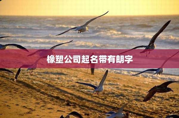橡塑公司起名带有朗字