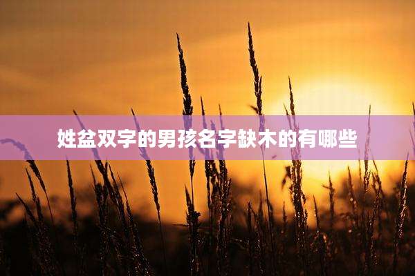 姓盆双字的男孩名字缺木的有哪些