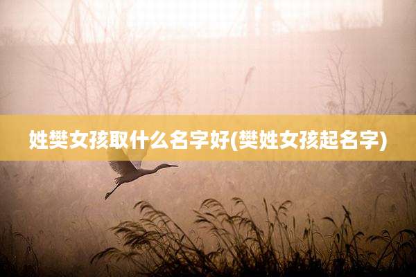 姓樊女孩取什么名字好(樊姓女孩起名字)