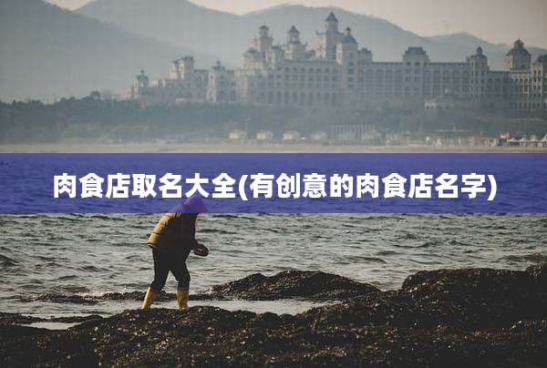 肉食店取名大全(有创意的肉食店名字)