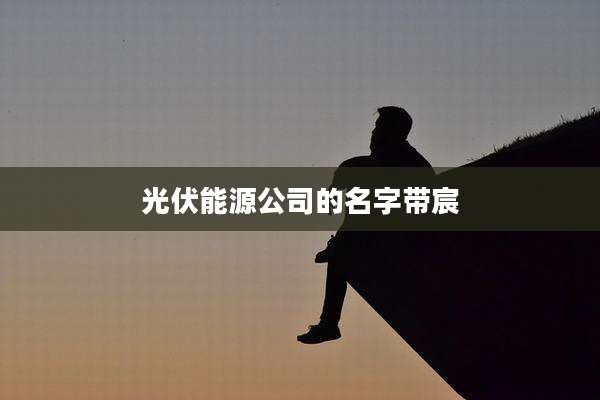 光伏能源公司的名字带宸