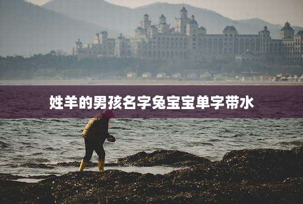 姓羊的男孩名字兔宝宝单字带水