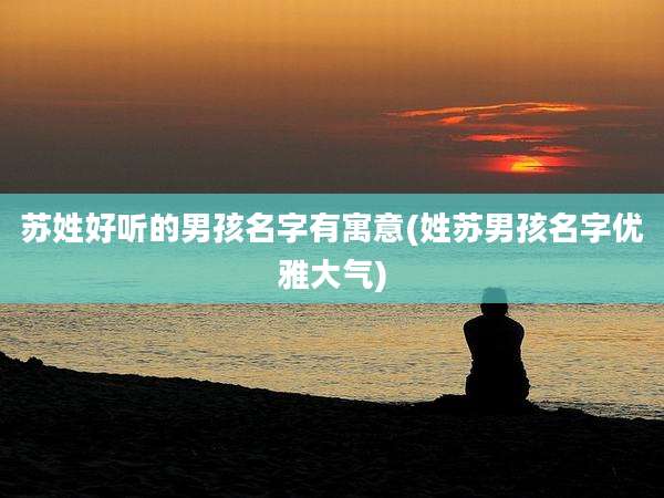 苏姓好听的男孩名字有寓意(姓苏男孩名字优雅大气)