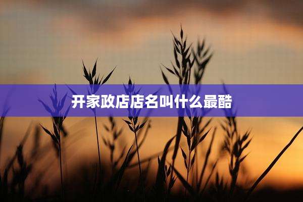 开家政店店名叫什么最酷