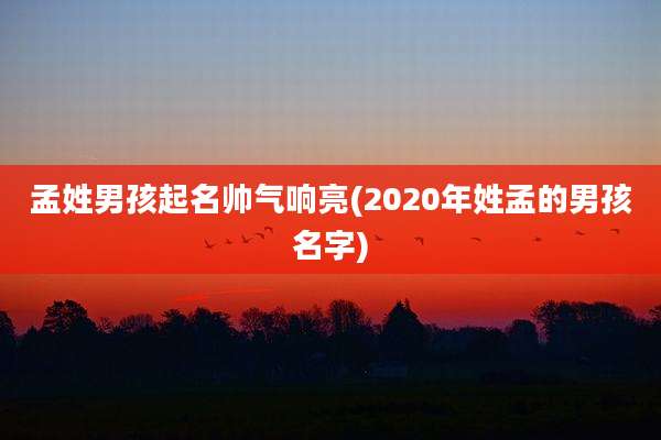 孟姓男孩起名帅气响亮(2020年姓孟的男孩名字)