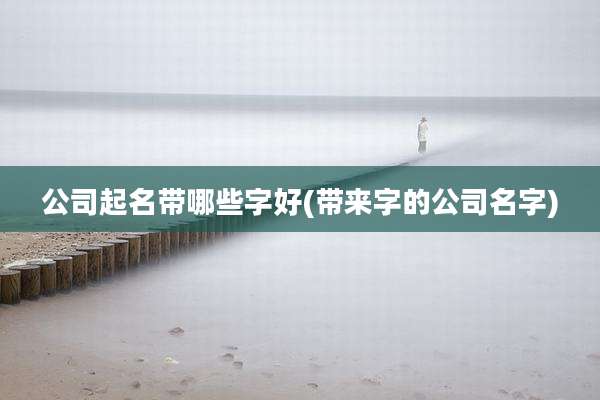 公司起名带哪些字好(带来字的公司名字)