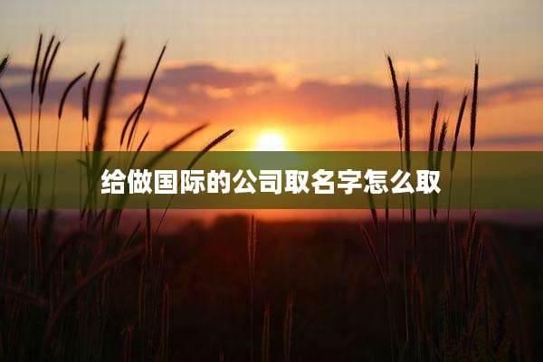 给做国际的公司取名字怎么取