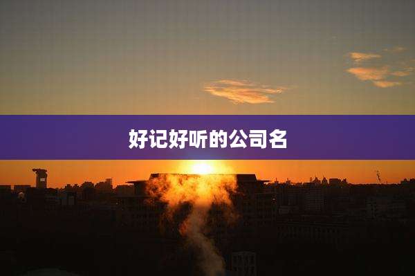 好记好听的公司名