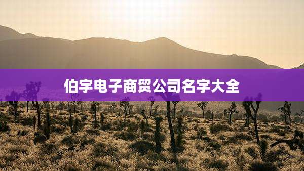 伯字电子商贸公司名字大全