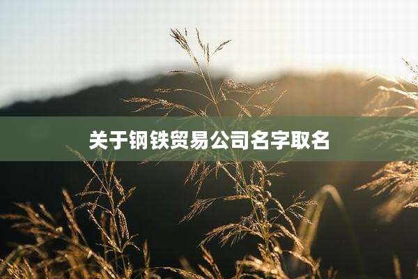 关于钢铁贸易公司名字取名